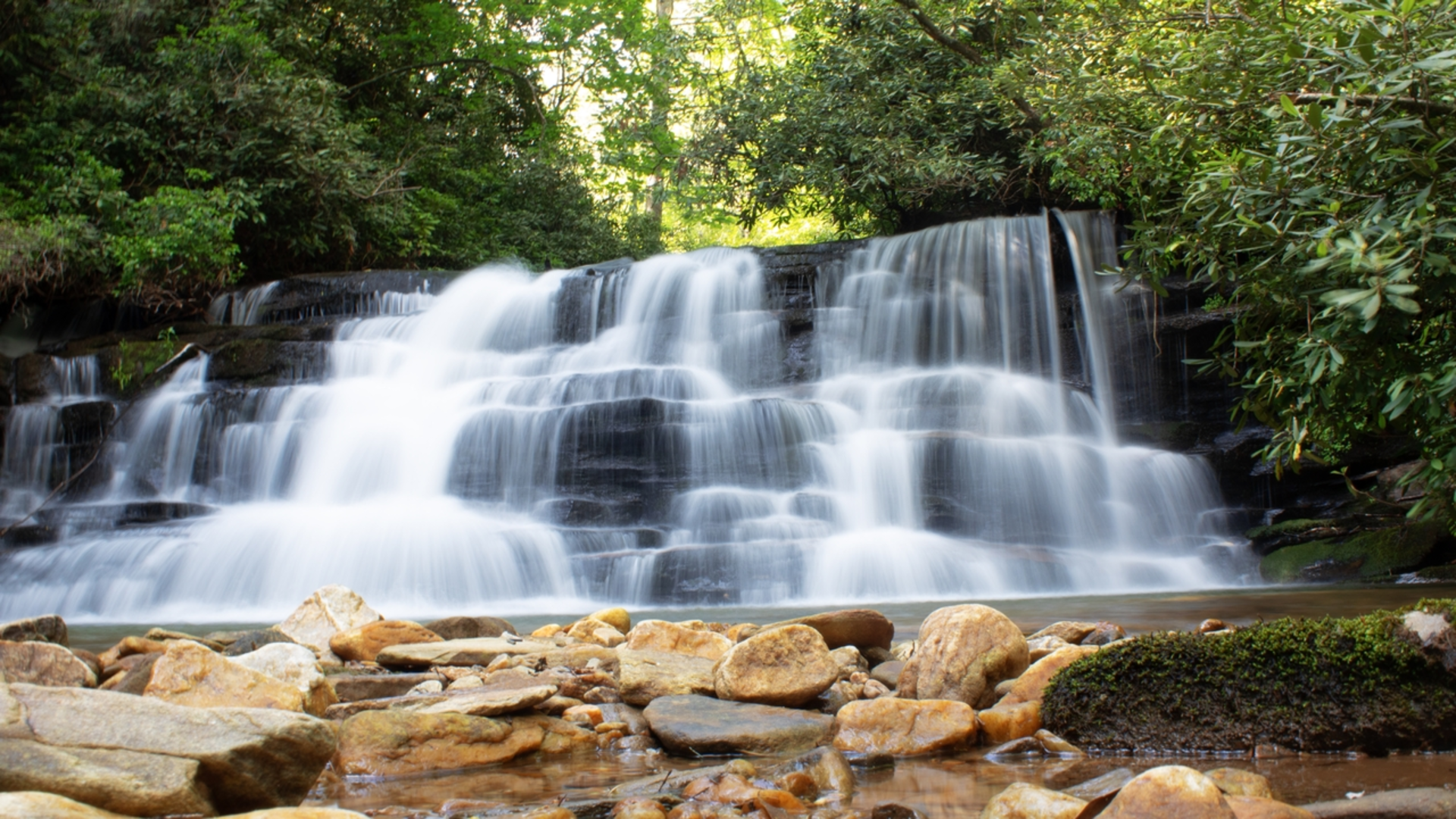 An image depicting the trail Stonewall Falls Loop Trail and its surrounding area.