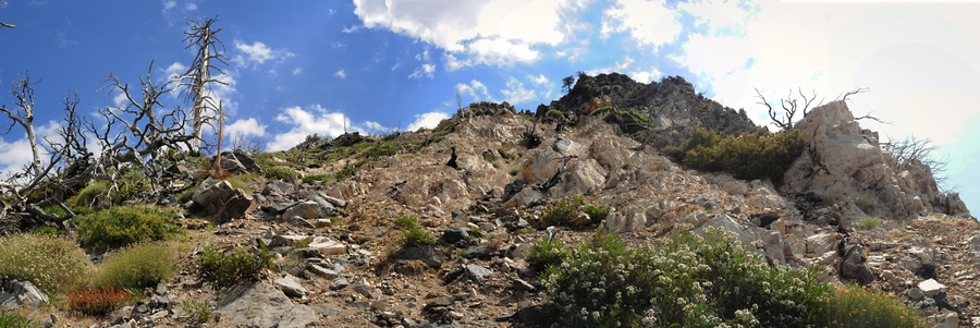 High Desert Trail, Pacific Crest Trail and Acorn Trail