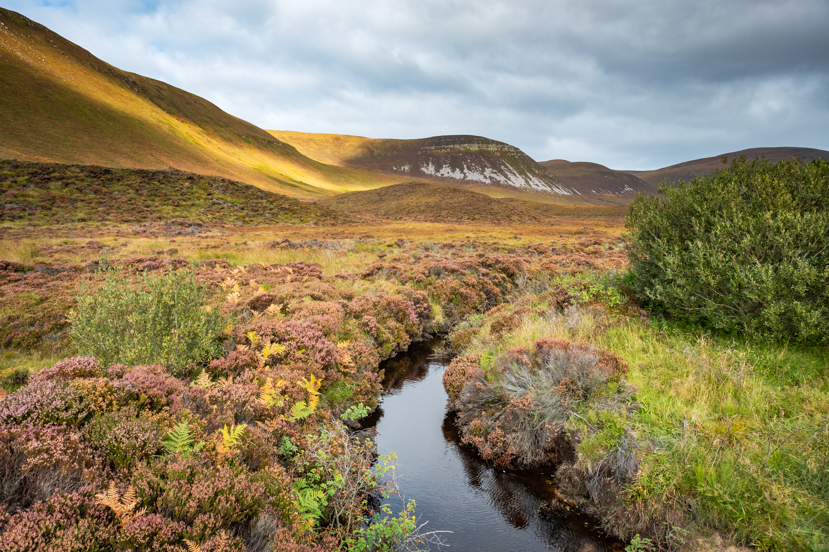 An image depicting the trail Sandy Loch and Ward Hill Loop and its surrounding area.