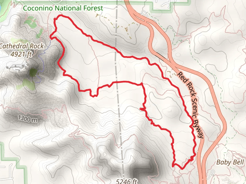 Slim Shady Trail, Templeton Trail and Easy Breezy Loop