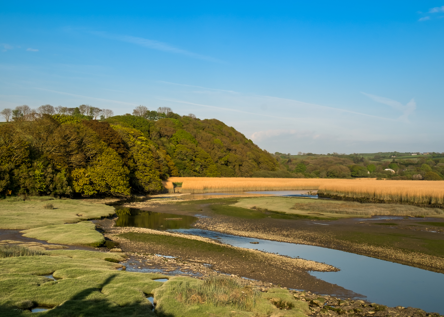 An image depicting the trail Nevern Walk and its surrounding area.
