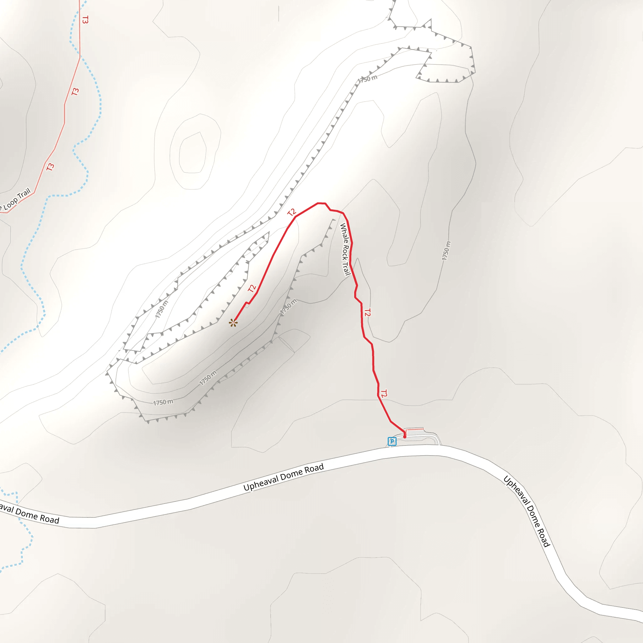 Whale Rock Trail mobile static map