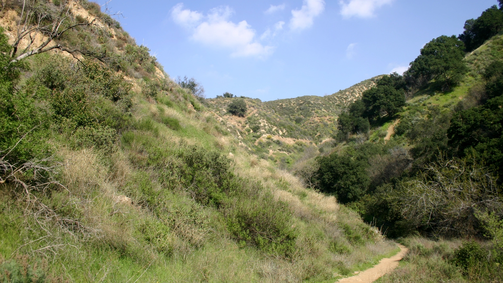 An image depicting the trail Towsley Canyon Trail and its surrounding area.
