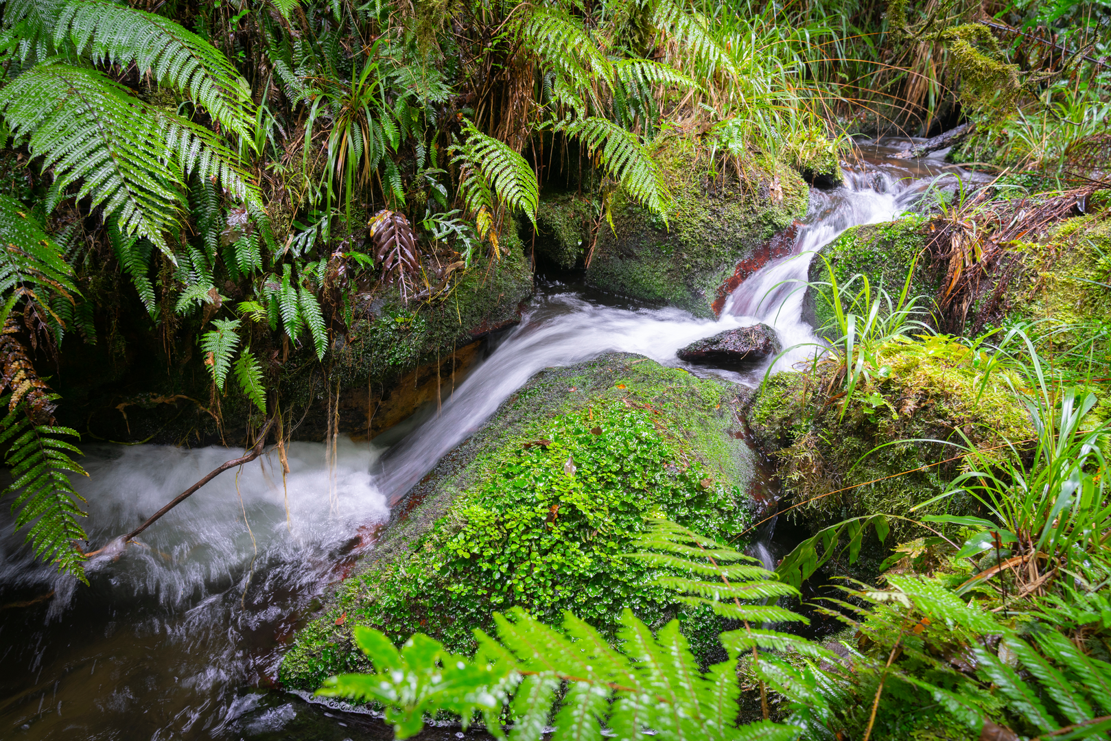 An image depicting the trail Wairēinga - Bridal Veil Falls and its surrounding area.