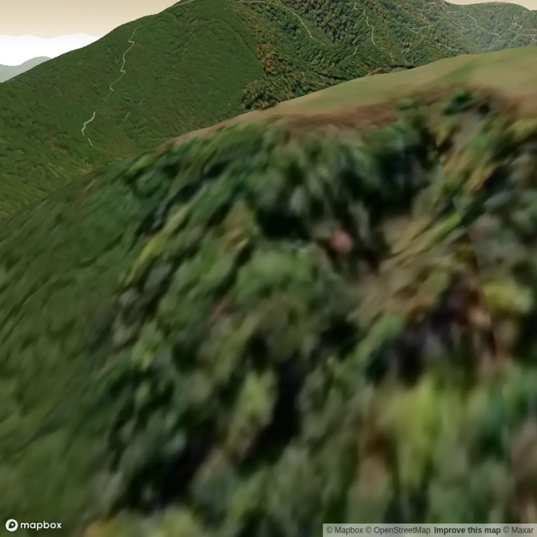 An image depicting the trail Branch Mountain Trail and Shingle Mill Ln Trail and its surrounding area.