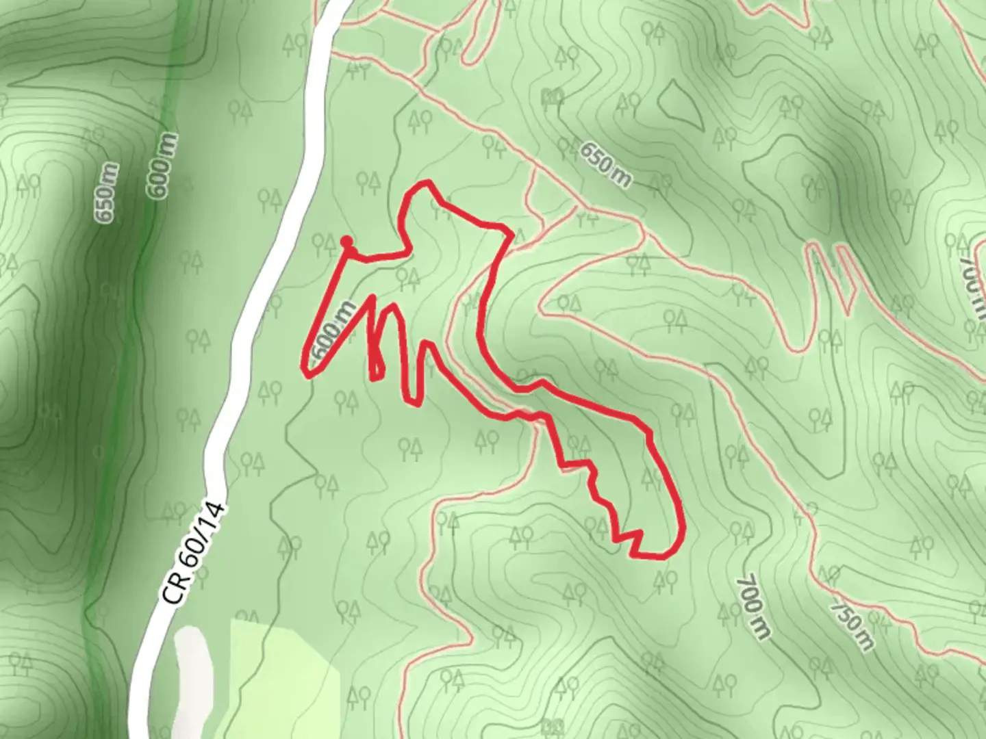 An image depicting the trail Old Field Loop and its surrounding area.