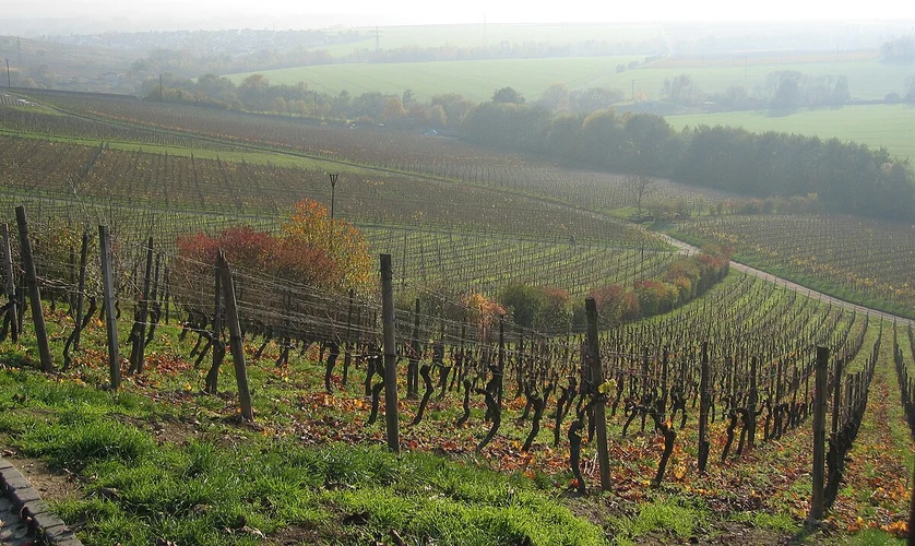 Steinbergpfad