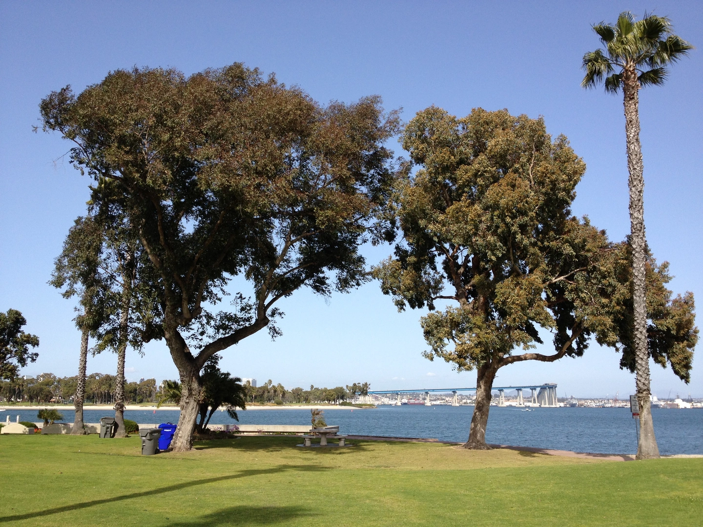 An image depicting the trail Bayshore Bikeway and its surrounding area.