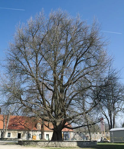 Schloss Goseck and Bärenhöhle Loop