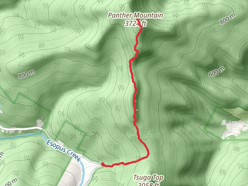 Panther Mountain from Phoenicia - East Branch Trail Out and Back