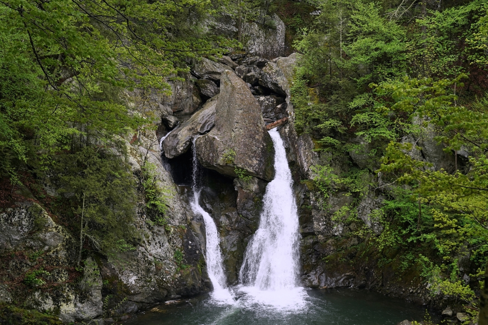 An image depicting the trail Bash Bish Falls Trail and its surrounding area.