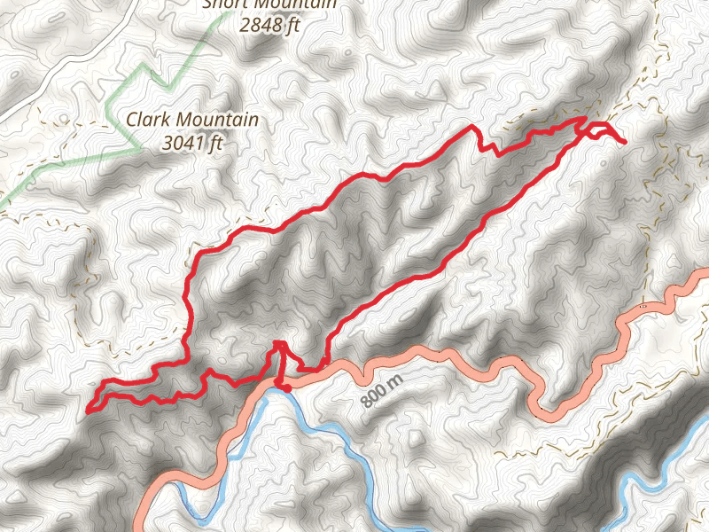 Iron Mountain and Feather Camp Loop Trail