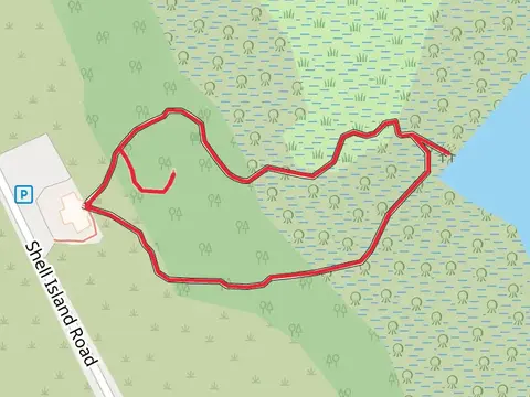 Shell Island Road Loop