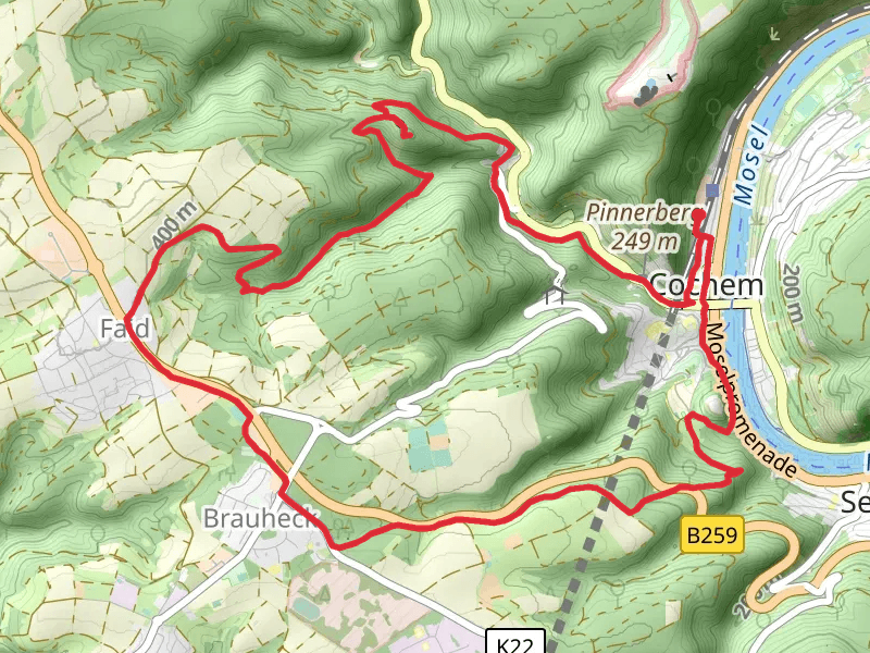 Mosel via Moselhoehenweg and Alter Ritterweg