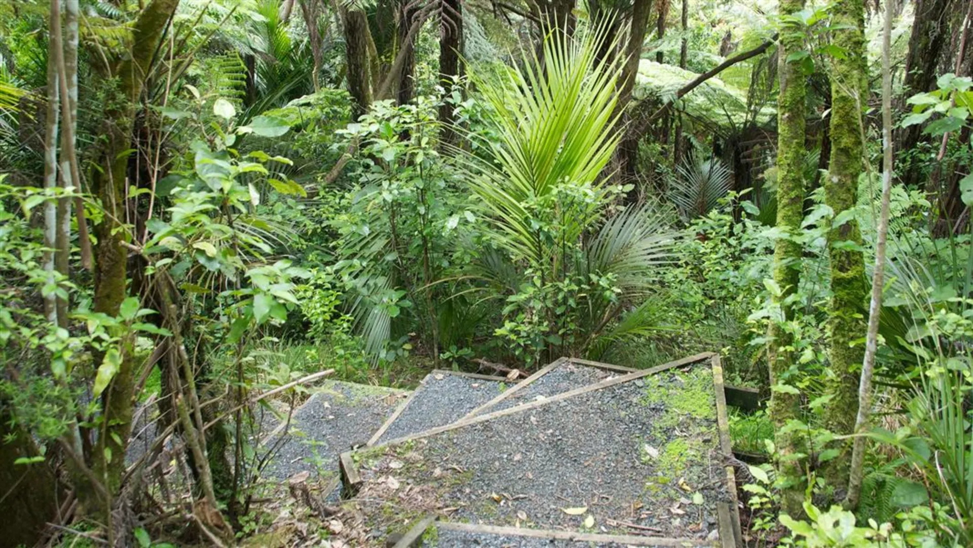 An image depicting the trail Beverley Price Loop Track and its surrounding area.