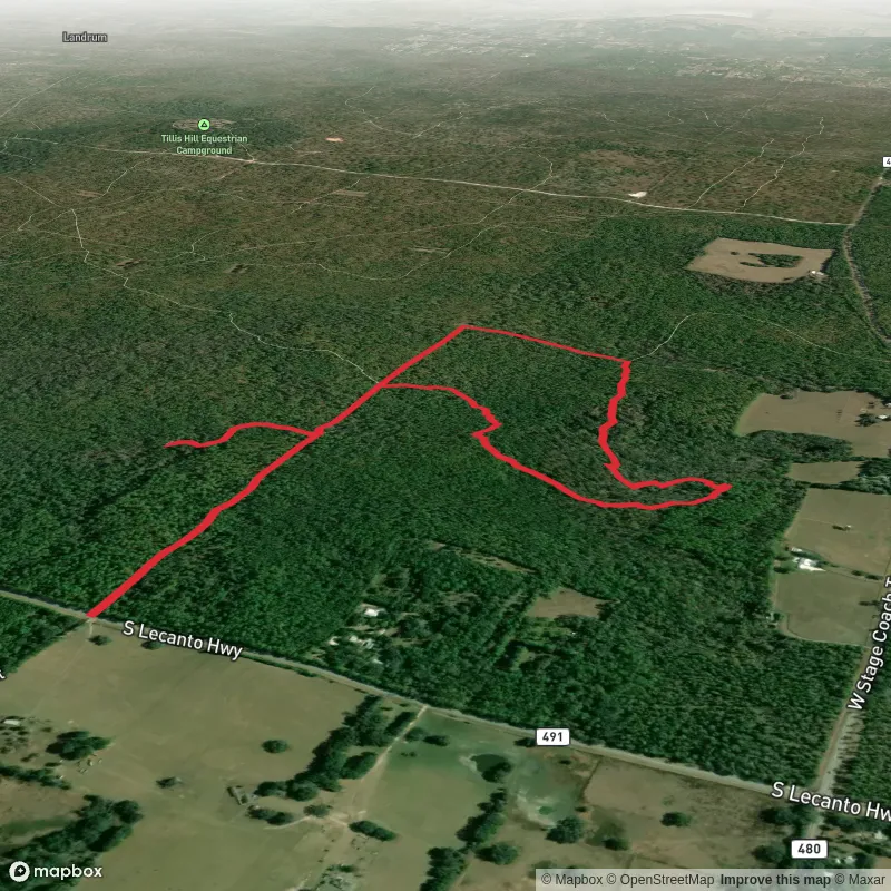 Lizzie Hart Sink Loop via Withlacoochee State Forest Trail