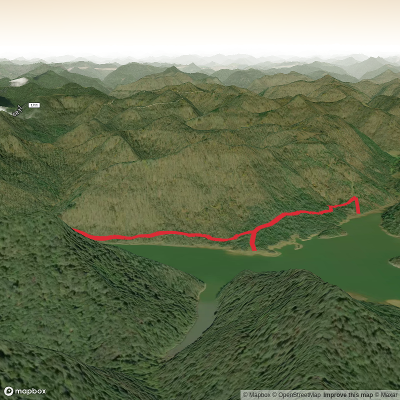 Thicket Trail