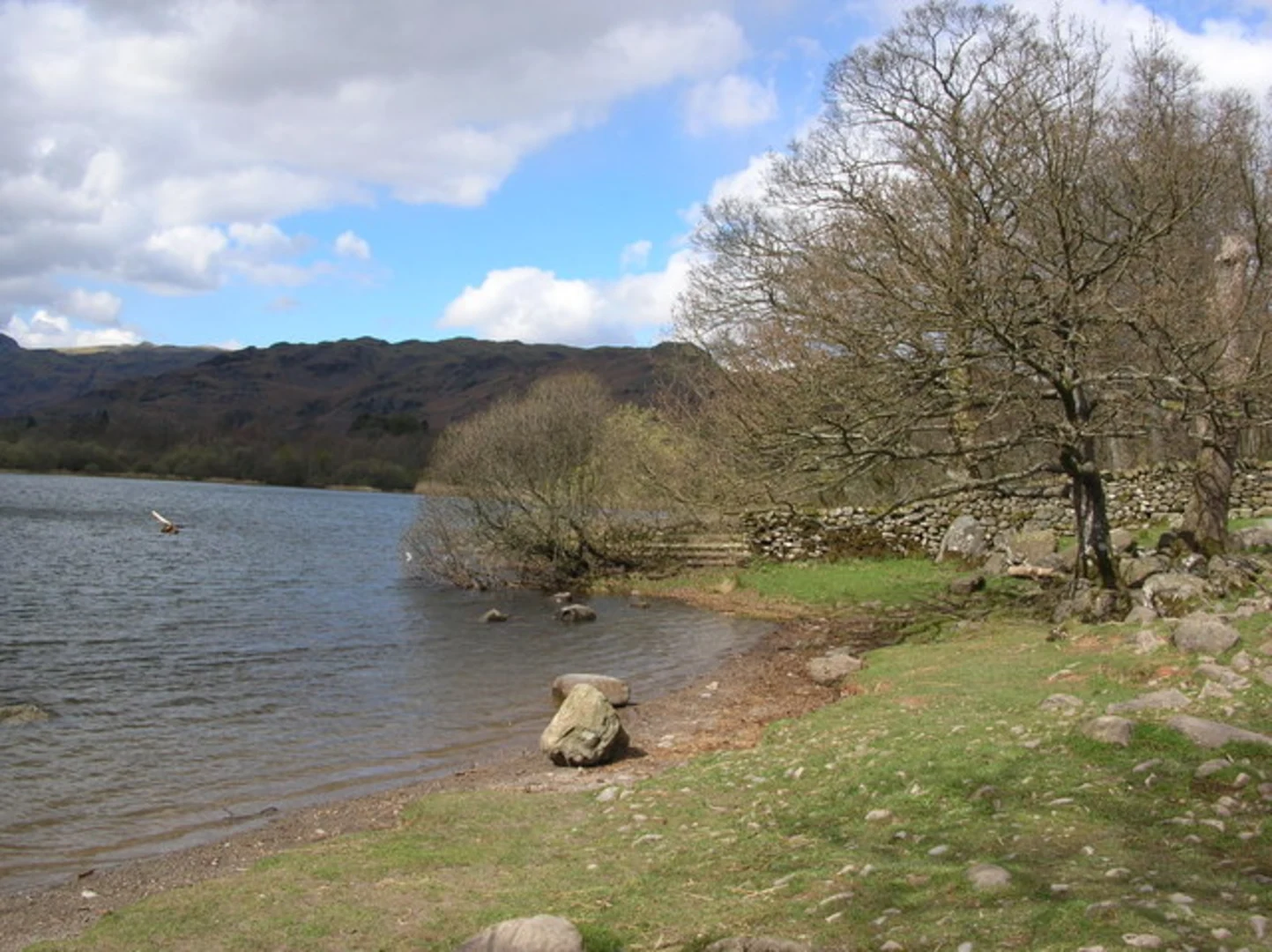 An image depicting the trail Skelwith Bridge, Stag End and Elterwater Loop and its surrounding area.