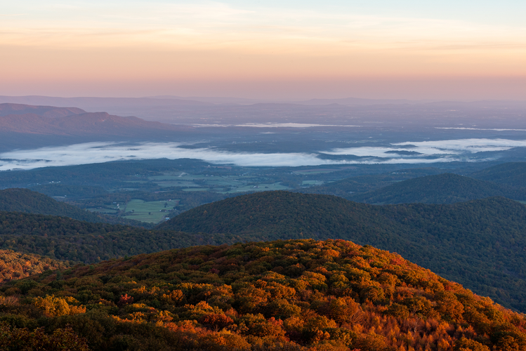 Tuscarora - Overall Run Trail
