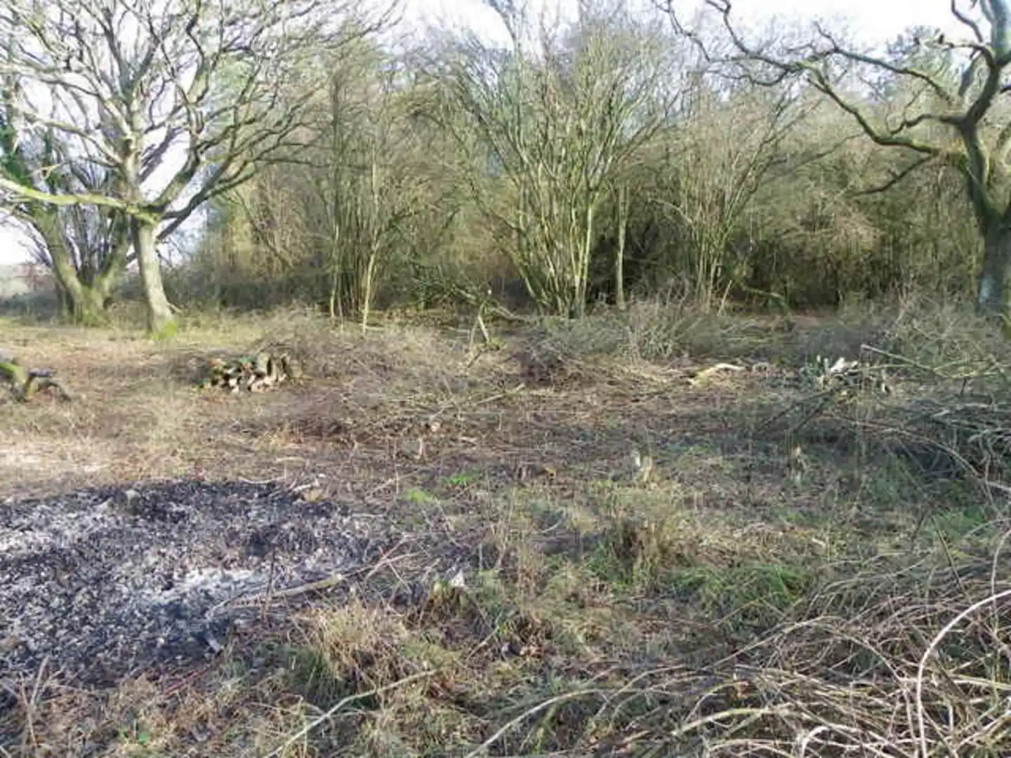 An image depicting the trail Martin Down Nature Reserve Loop and its surrounding area.