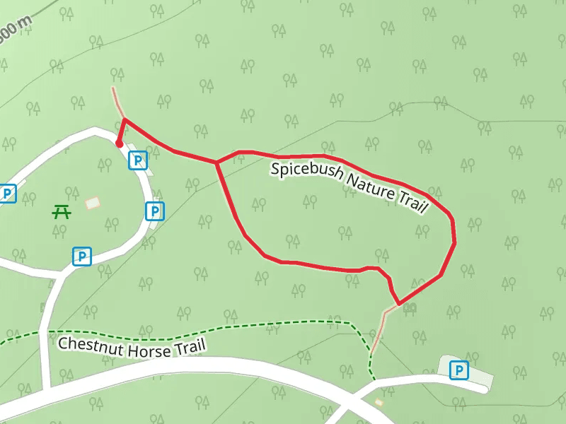 Spicebush Nature Loop Trail