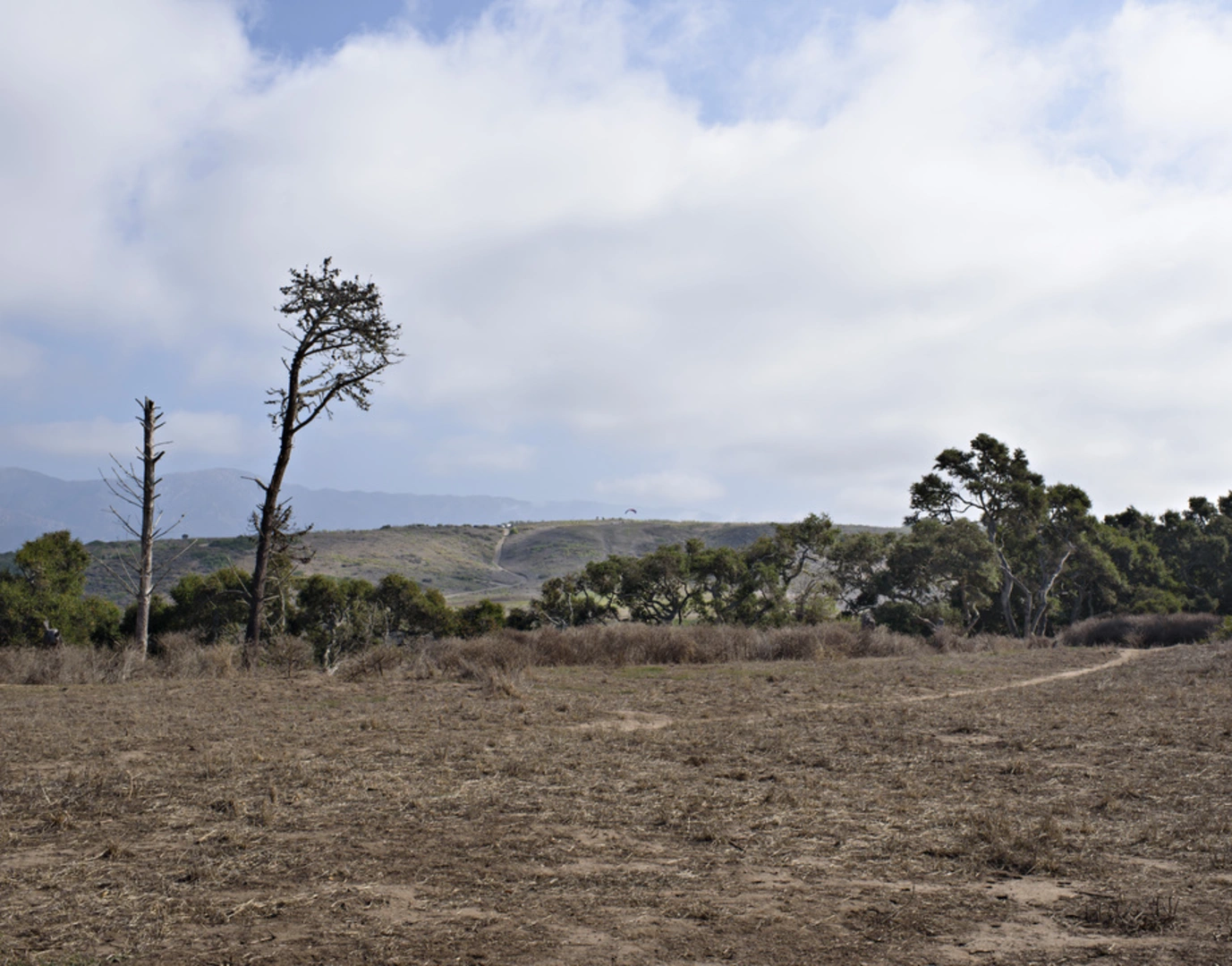An image depicting the trail Arroyo Burro Trail and its surrounding area.