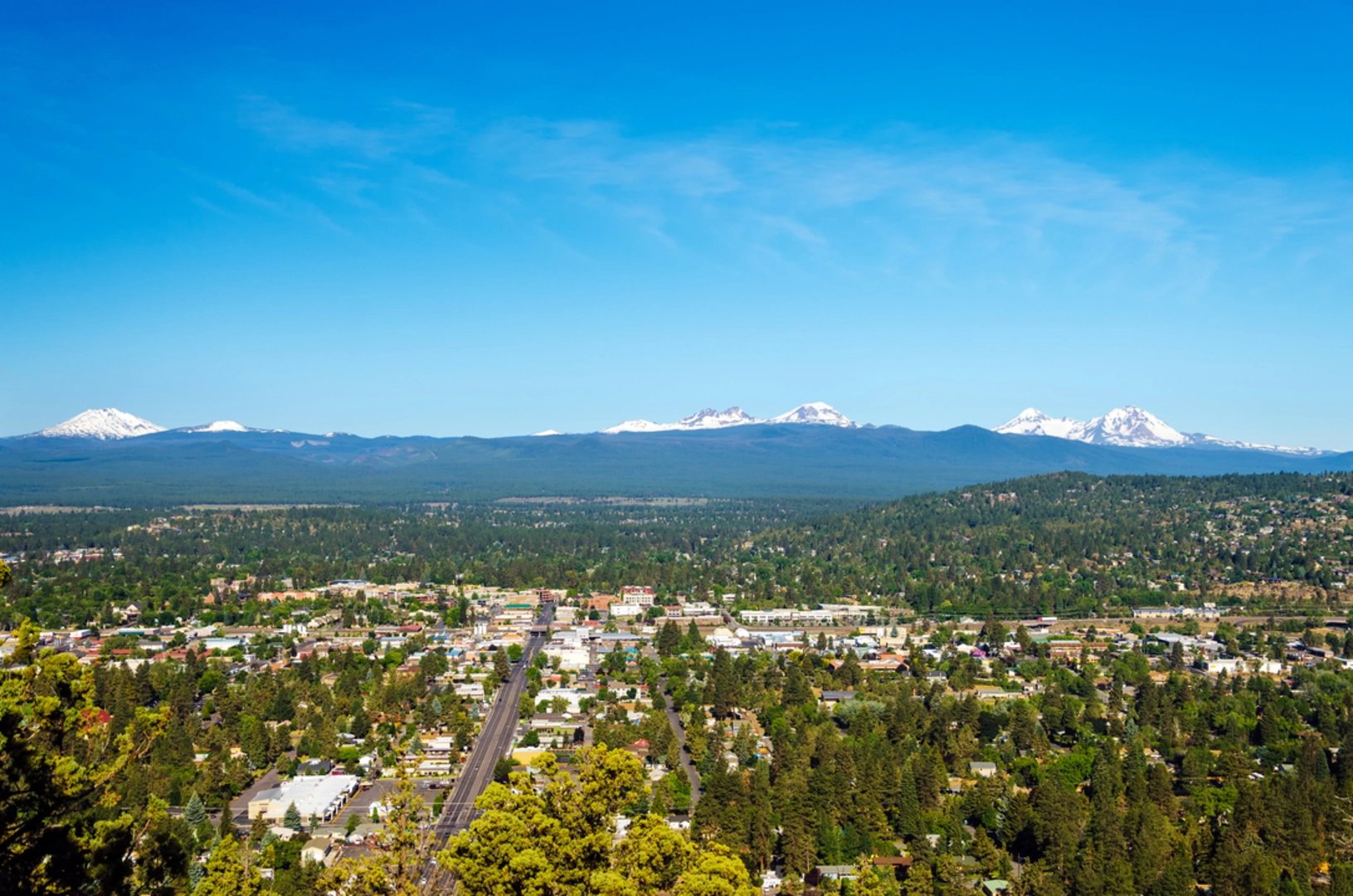 An image depicting the trail Tiddlywinks Trail and its surrounding area.