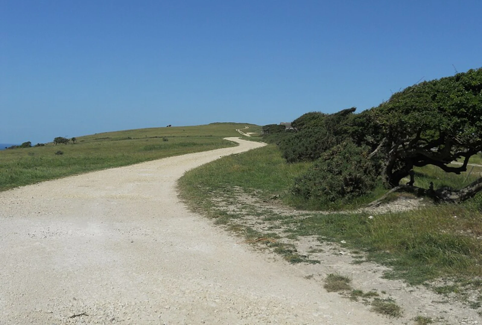 Limerstone Down Loop - Shorwell | Isle of Wight | England