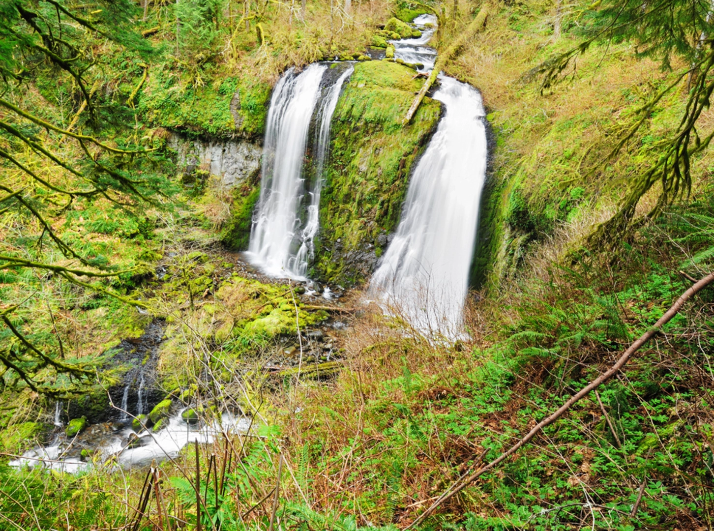 An image depicting the trail Moffett Creek via Nesmith Point Trail and its surrounding area.