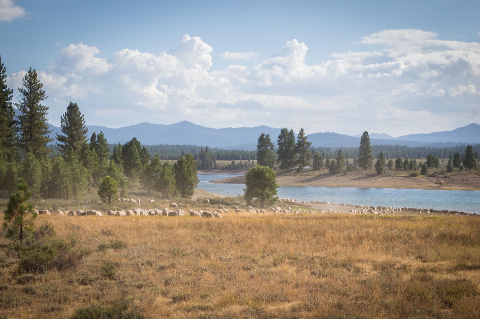 An image depicting the trail Prosser Hill Walk Loop and its surrounding area.