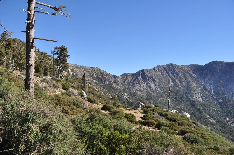 Mount Islip Trail