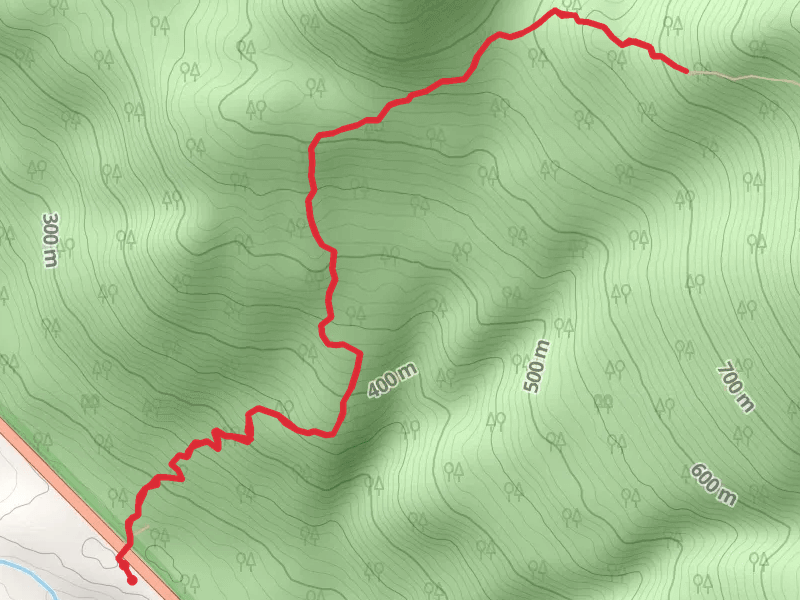 Skyline Peak Trail Out and Back