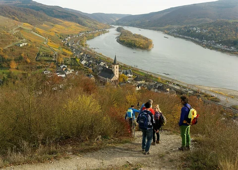 Ruine Nollig, Rhein Wisper Blick and Lehnhardt Blick Loop via Rheingauer Rieslingpfad
