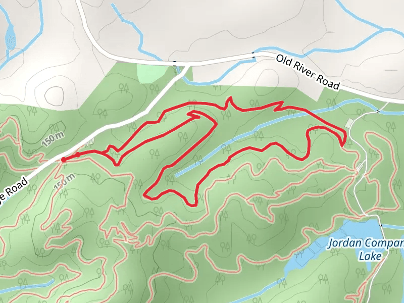 Primary Goods Loop