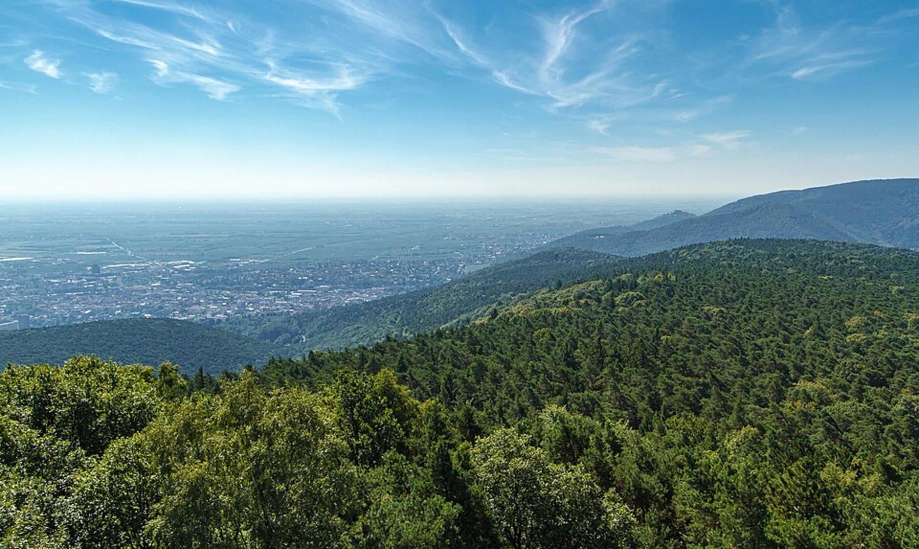 An image depicting the trail Dr Welsch Terrasse, Schuhbaum, Wolfsburg Castle Loop via Drumrum Weg and its surrounding area.