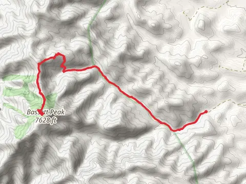 Bassett Peak via East Divide Trail