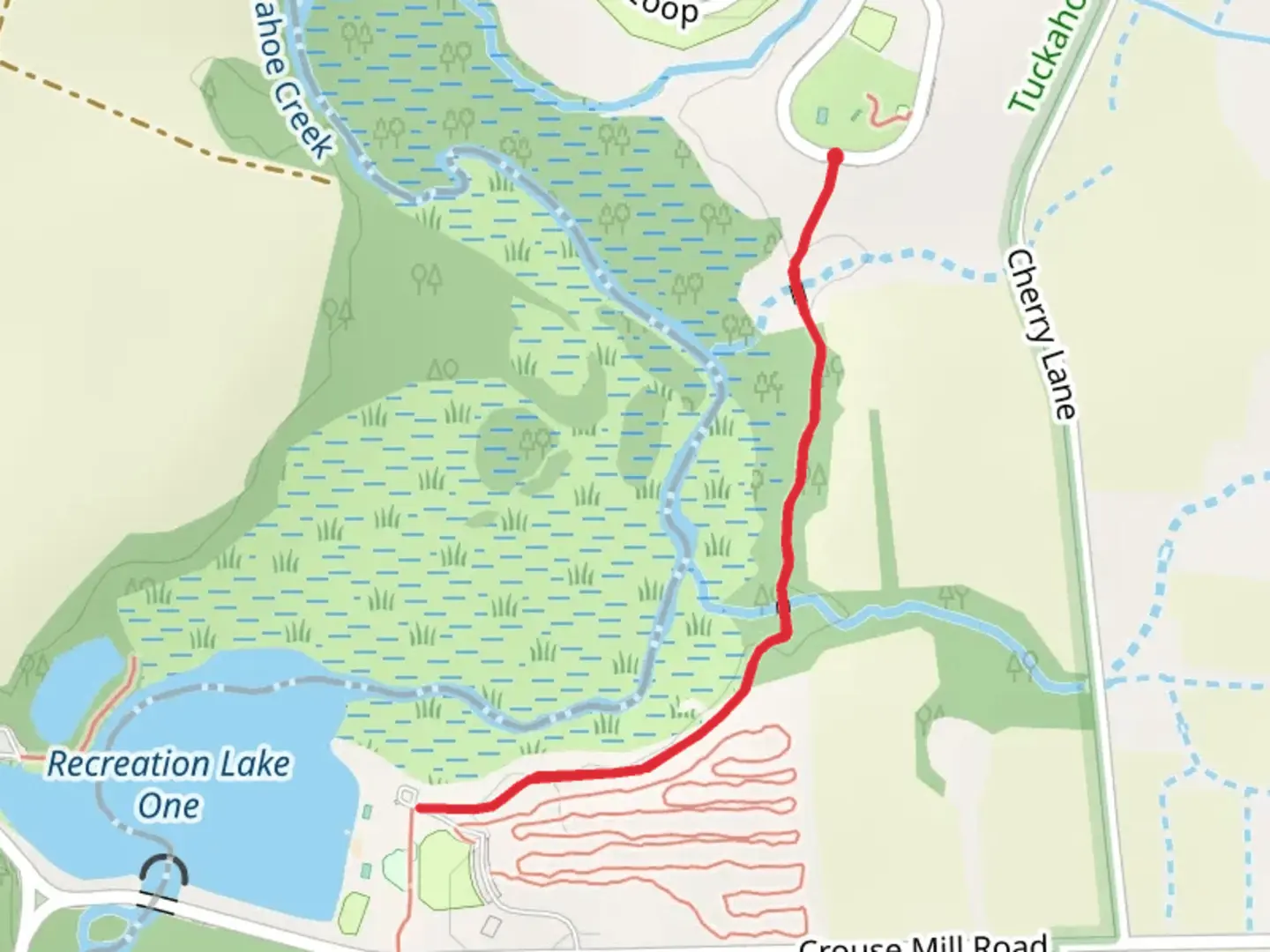 An image depicting the trail Recreation Lake One Trail and its surrounding area.