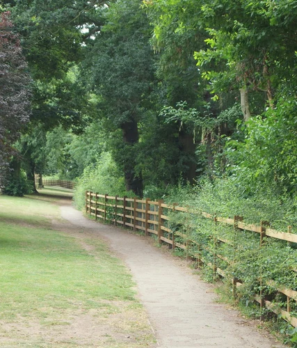 River Trent Walk - Radcliffe on Trent
