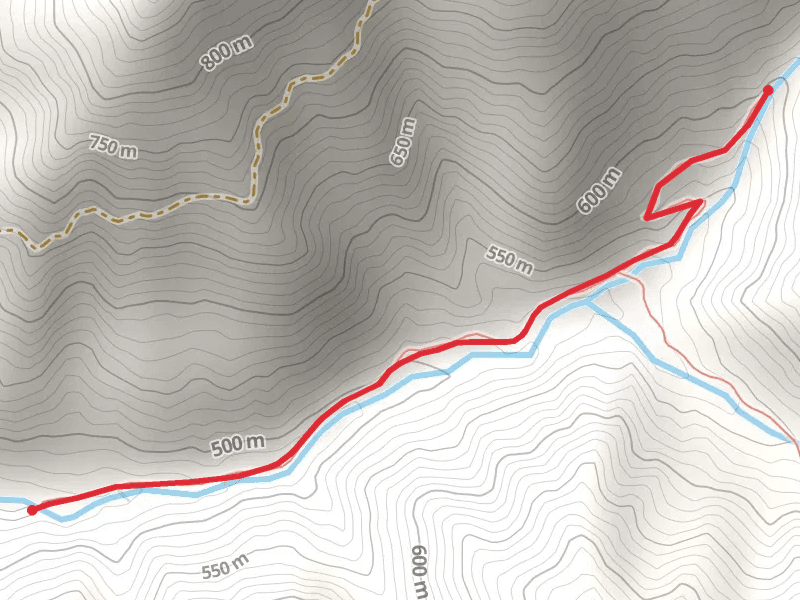 Emory Gap Trail
