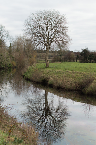 Ballinamore Looped Walking Trail