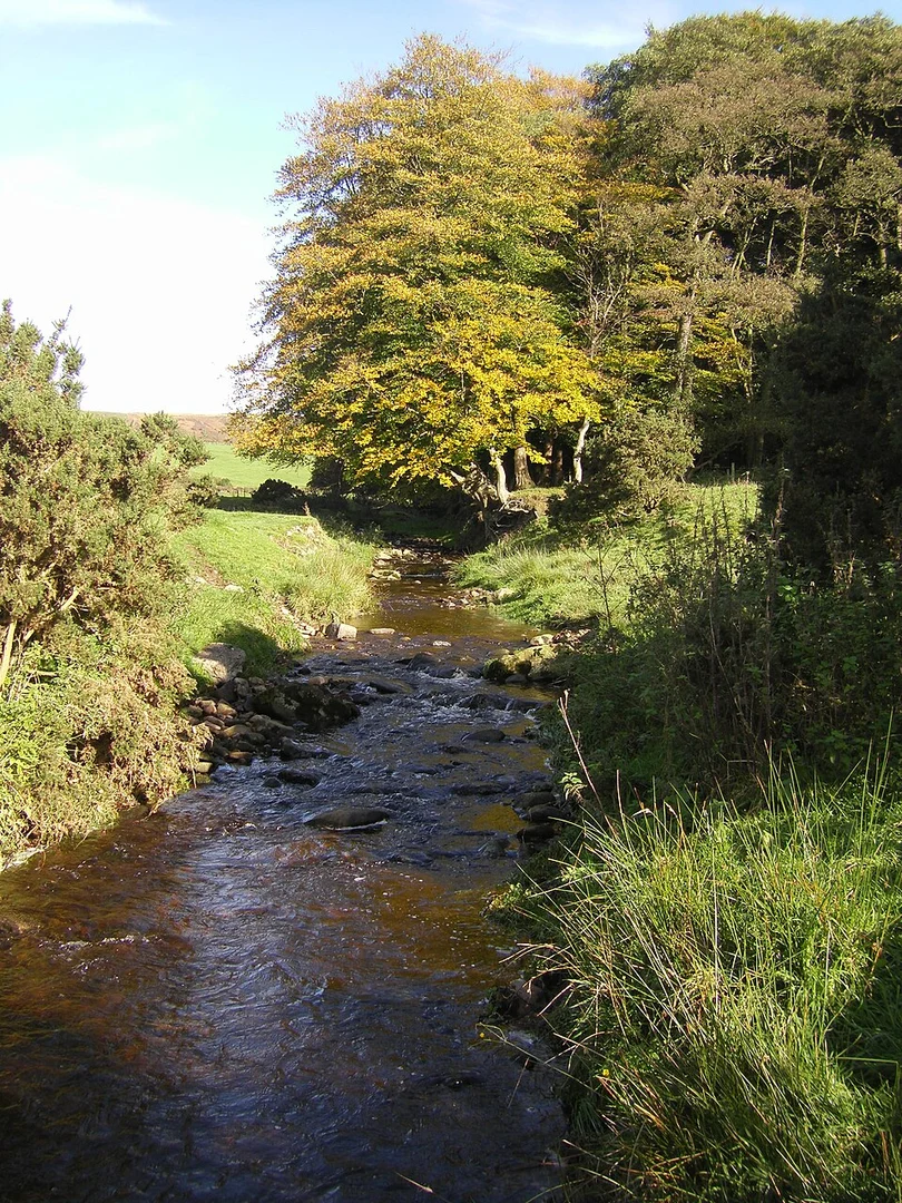 An image depicting the trail Alston to Scorton Walk and its surrounding area.