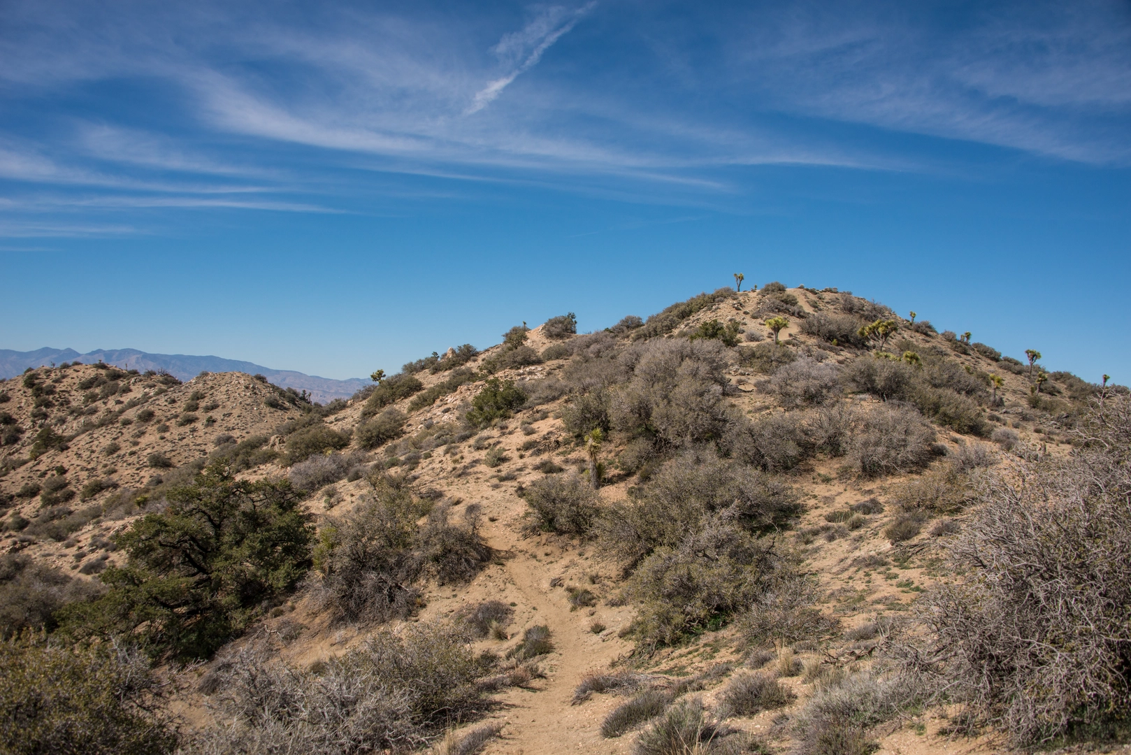 An image depicting the trail Eureka Peak Trail and its surrounding area.