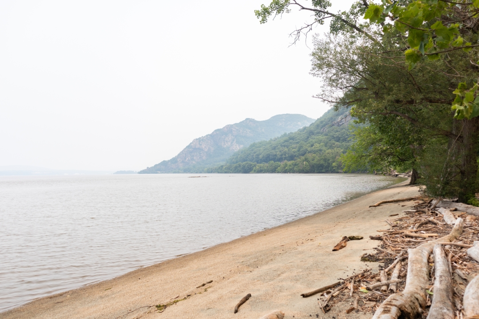 An image depicting the trail Little Stony Point Loop and its surrounding area.