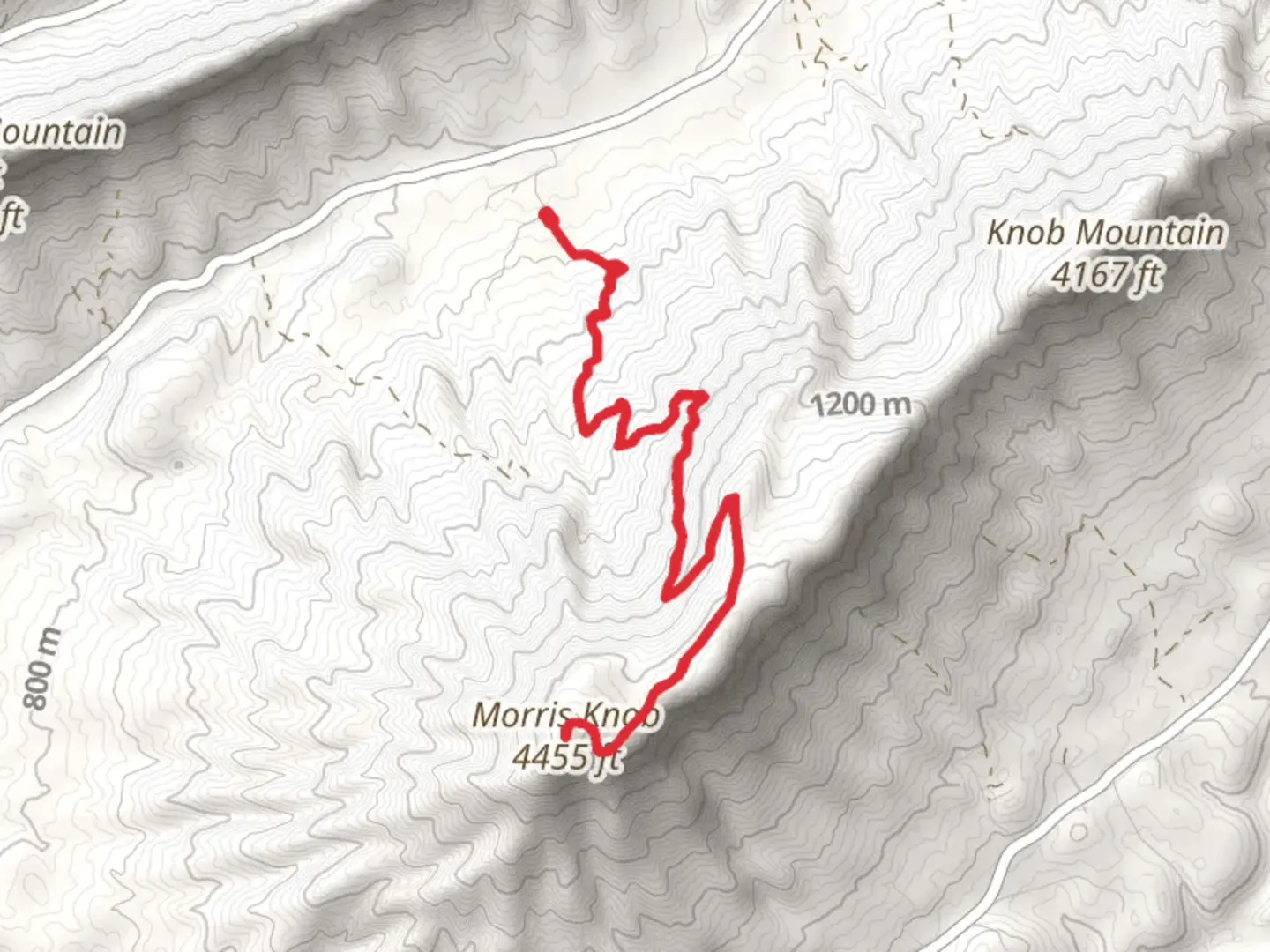 An image depicting the trail Morris Knob Trail and its surrounding area.