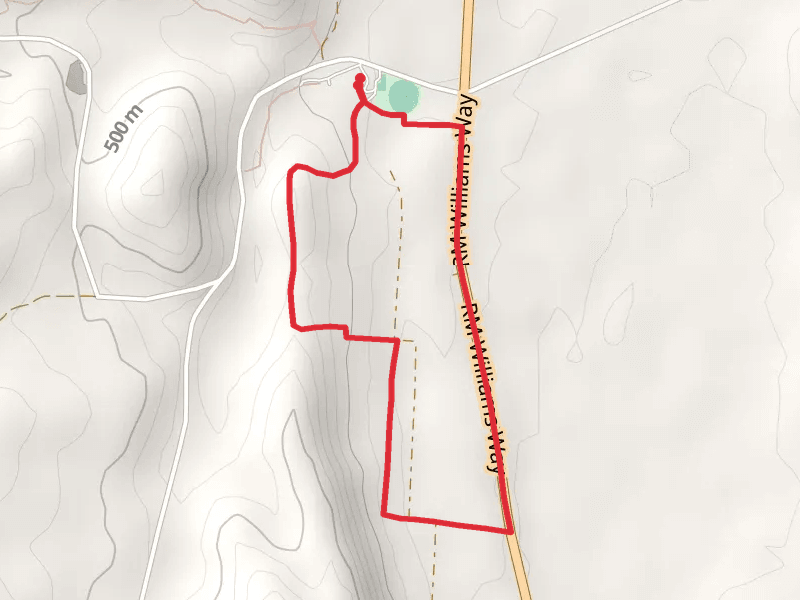 Scenic Trail - Bundaleer Forest Track