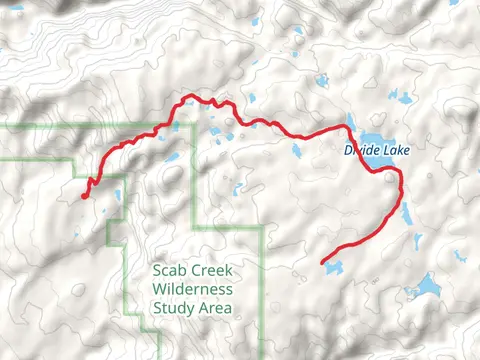 Lowline Trail and Sage trail