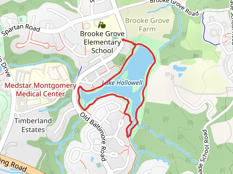Lake Hallowell Loop