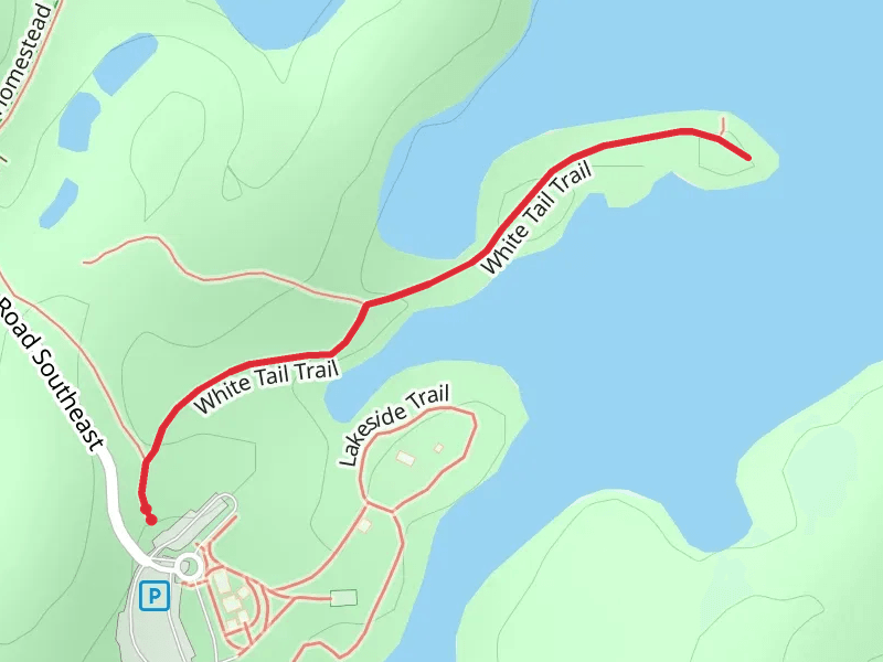 White Tail Trail