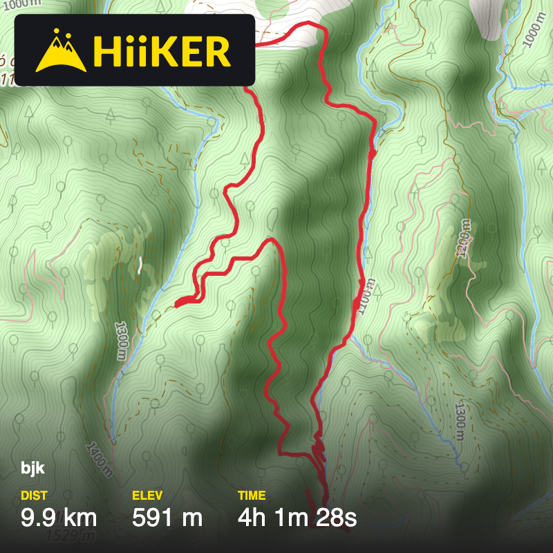 A map preview of the recording Torrent de la Masica i una mica més amunt.