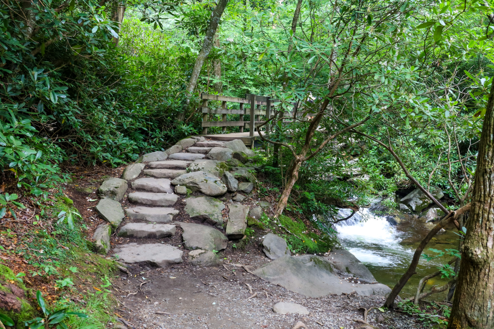 An image depicting the trail Chimney Tops Trail and its surrounding area.